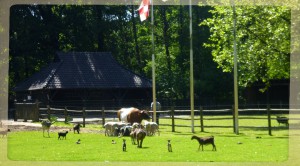 BLOGHAZEWINKELkinderboerderij