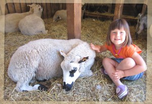 KEIHEUVELkinderboerderij2