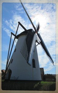 MOLENmolen