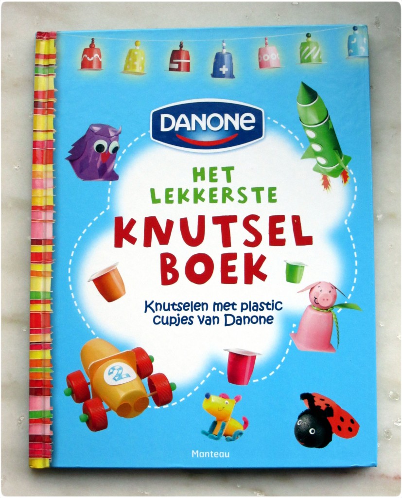 danonerupsknutselboek