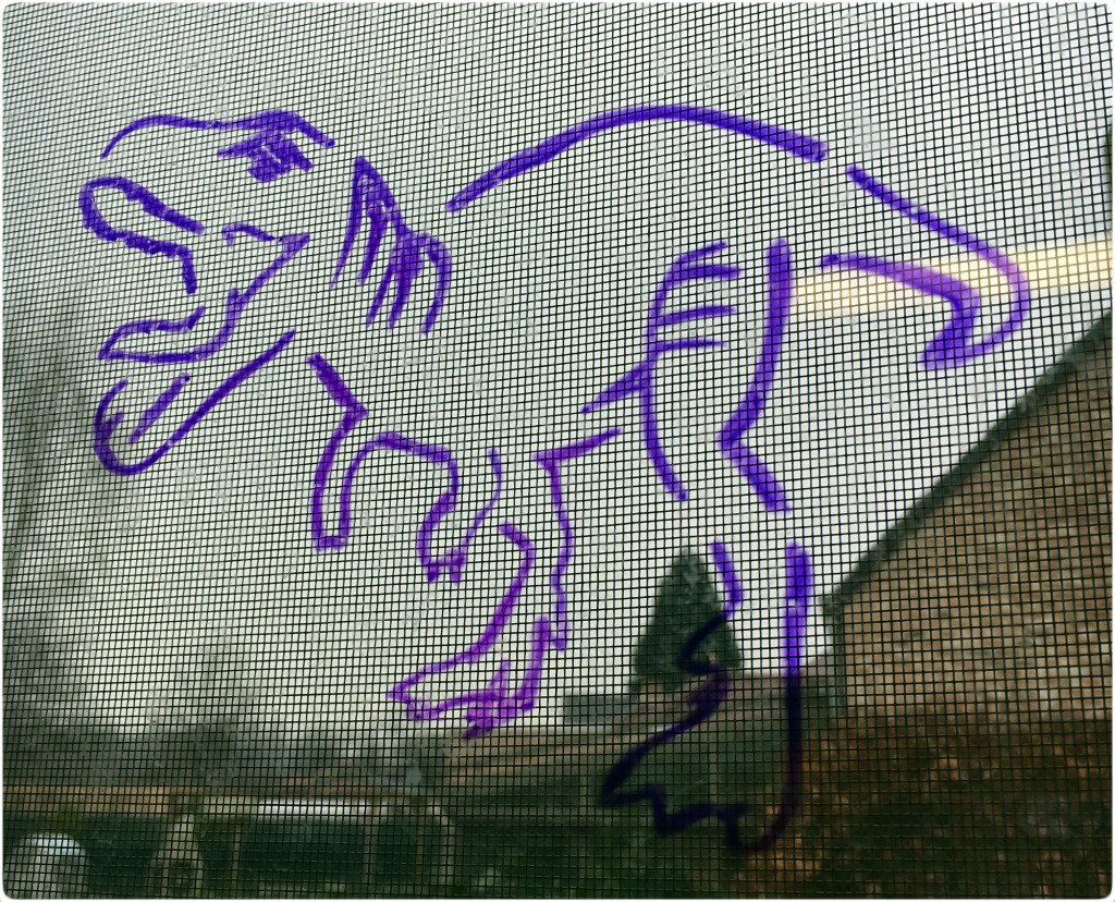 windowmarkers-totum-dino