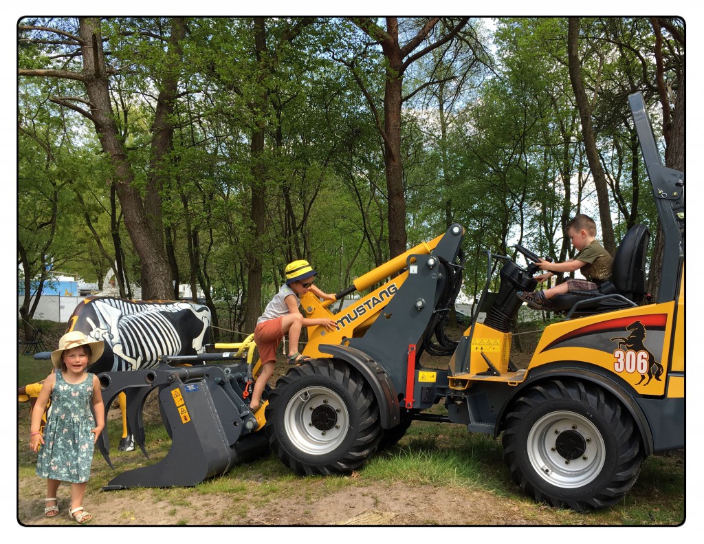 john deere, mustang, animal event