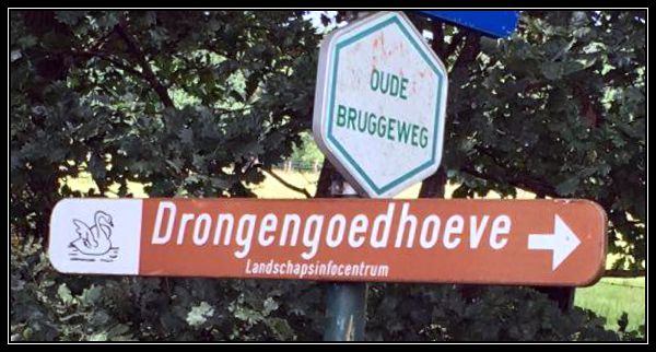 drongengoedhoeve, natuur en bos, bos, ursel