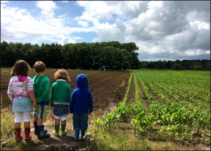 wijnendalebos, natuur en bos, torhout