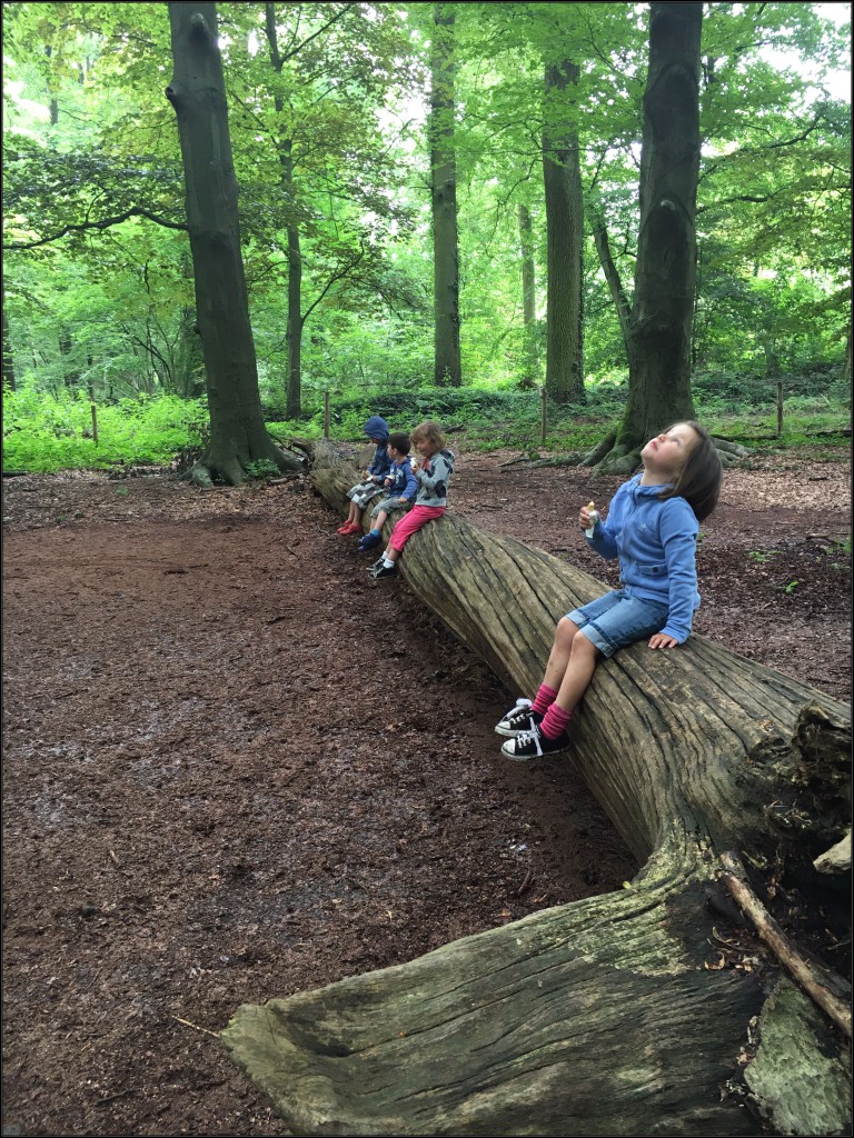 den doolhof, turnhout, picknicken