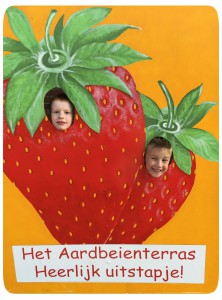 aardbei, het aardbeienterras, rijsbergen