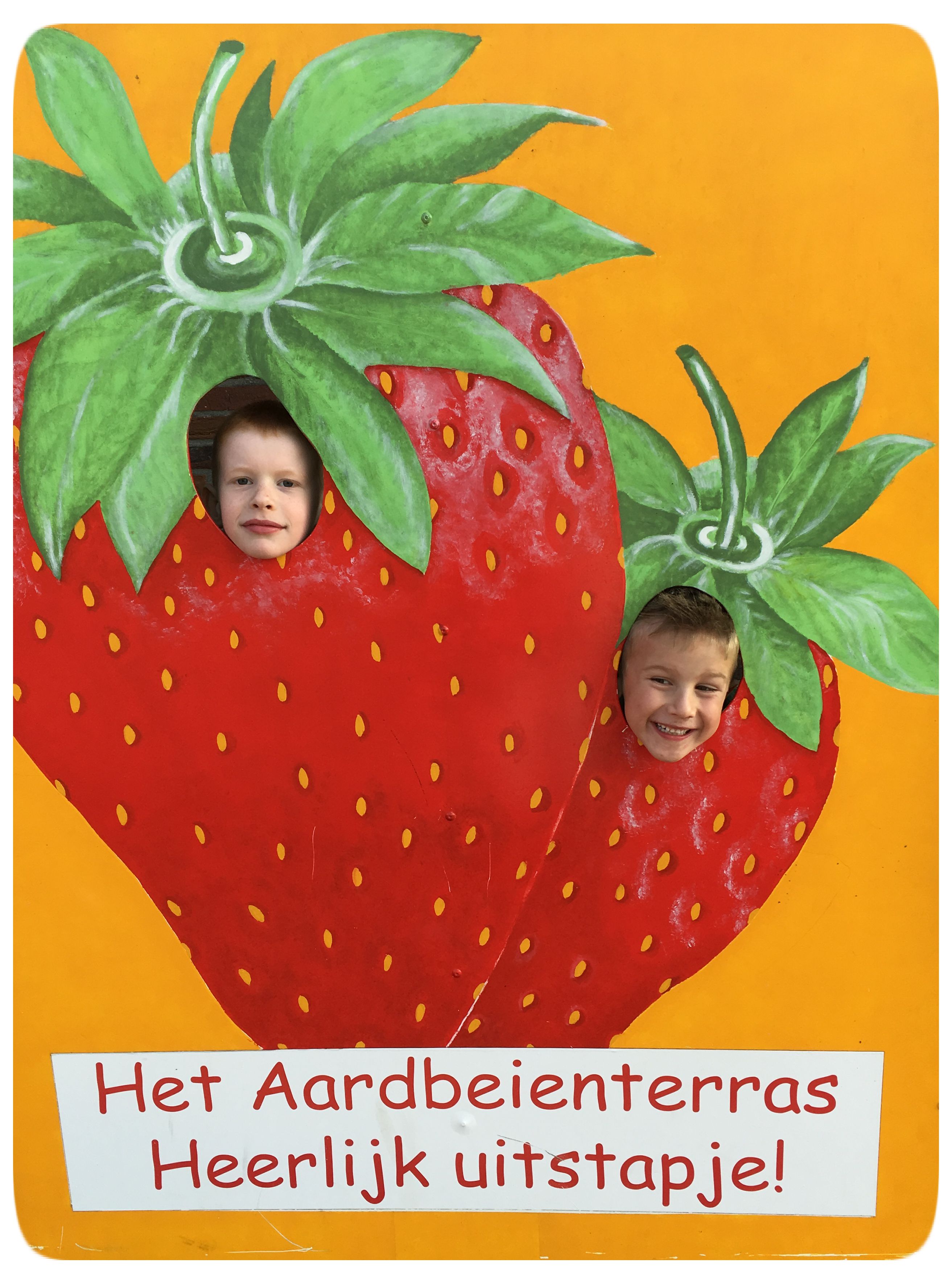 aardbei, het aardbeienterras, rijsbergen