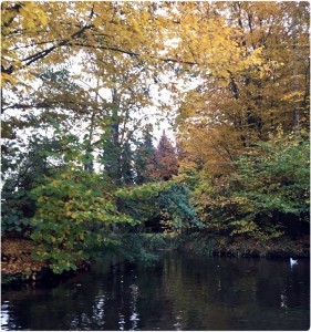 efteling, gouden, herfst