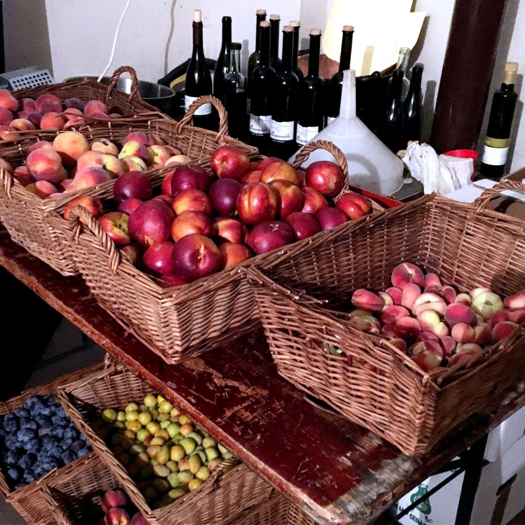 bio, fruit, roter hahn, zuid-tirol