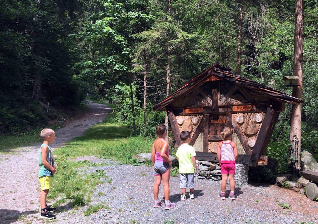 insectenhotel, greifenburg, wassererlebnisweg