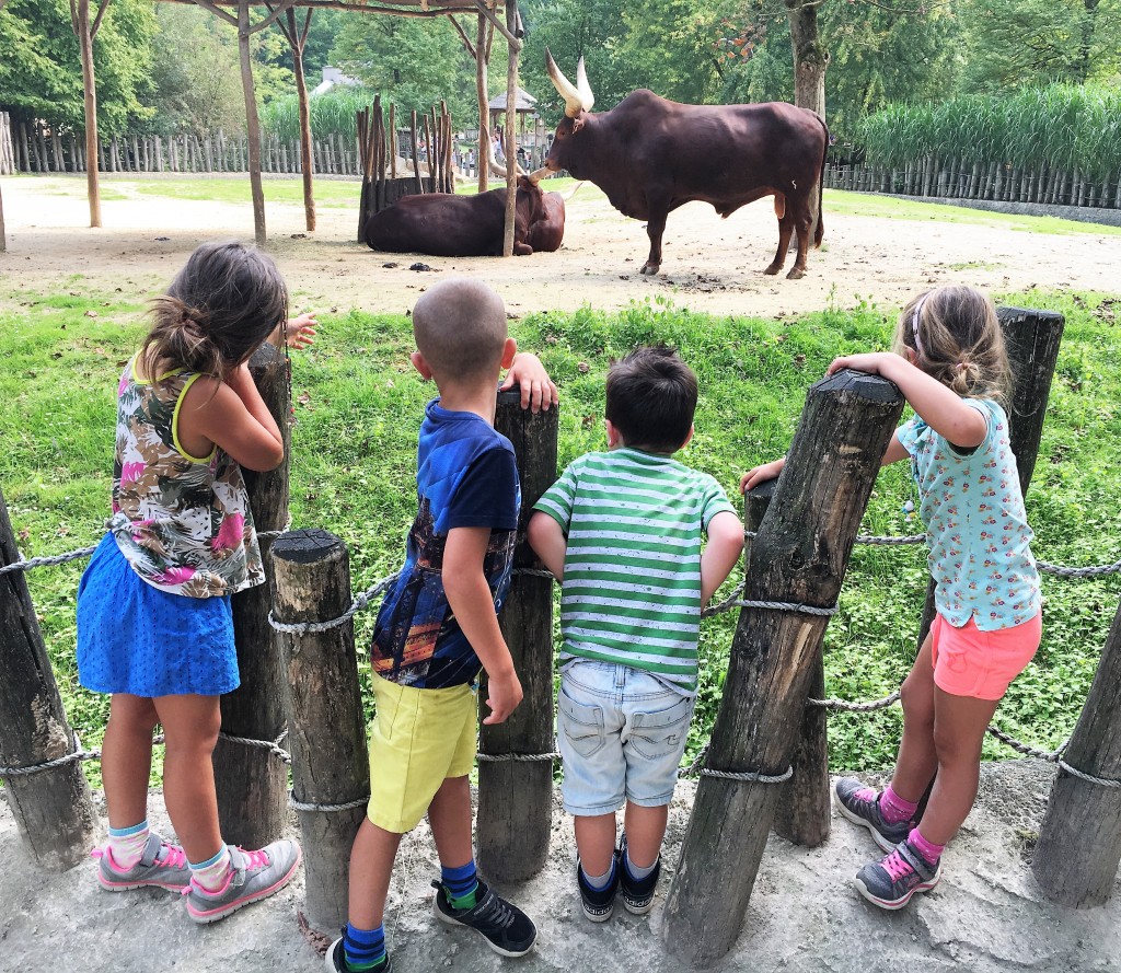 dierentuin, visitmechelen