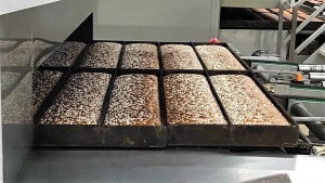 voka, openbedrijvendag, vondelmolen