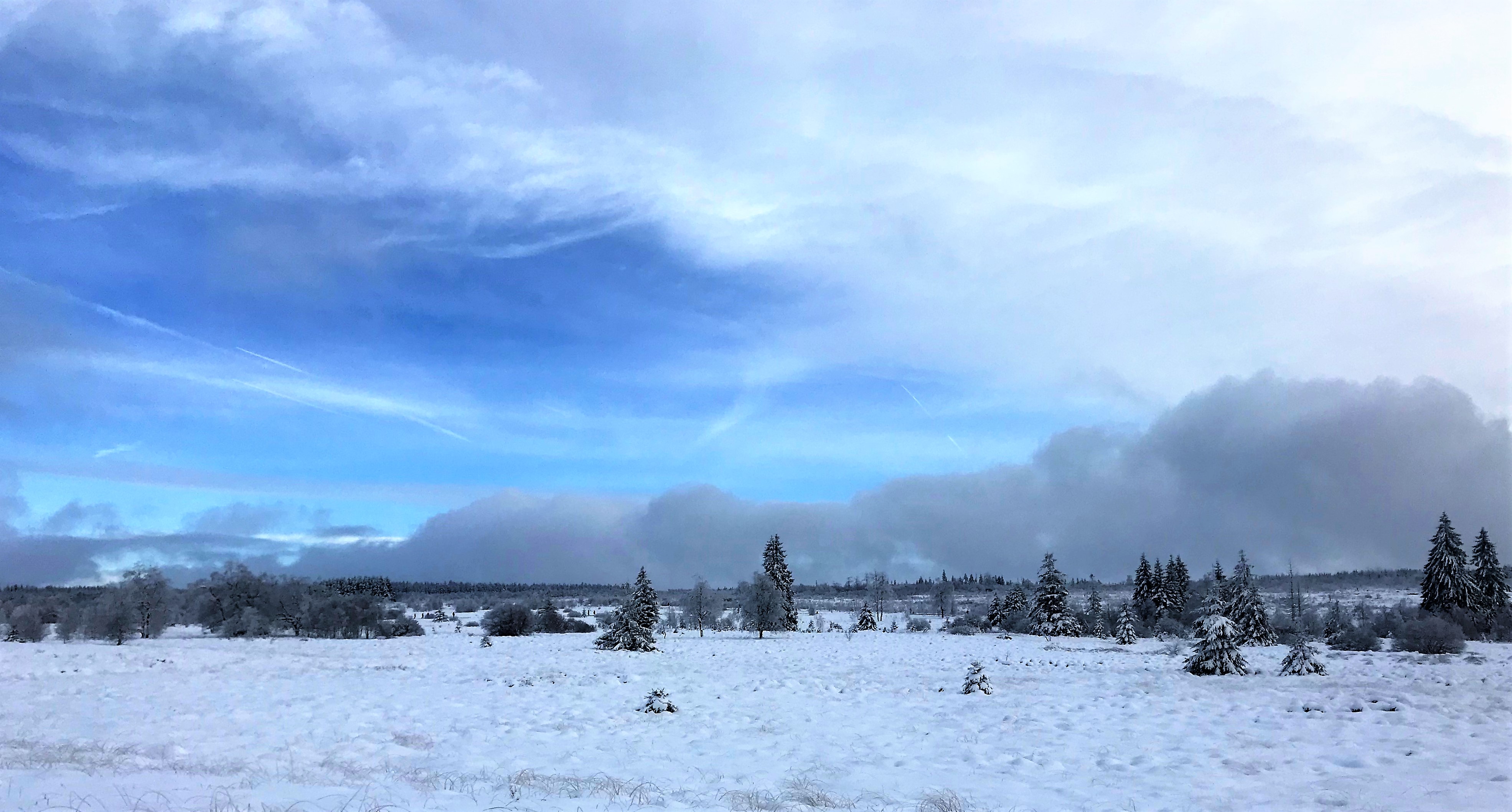 oostkantons, sneeuw, toerist in eigen land