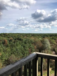 limburg, zutendaal, lietberg