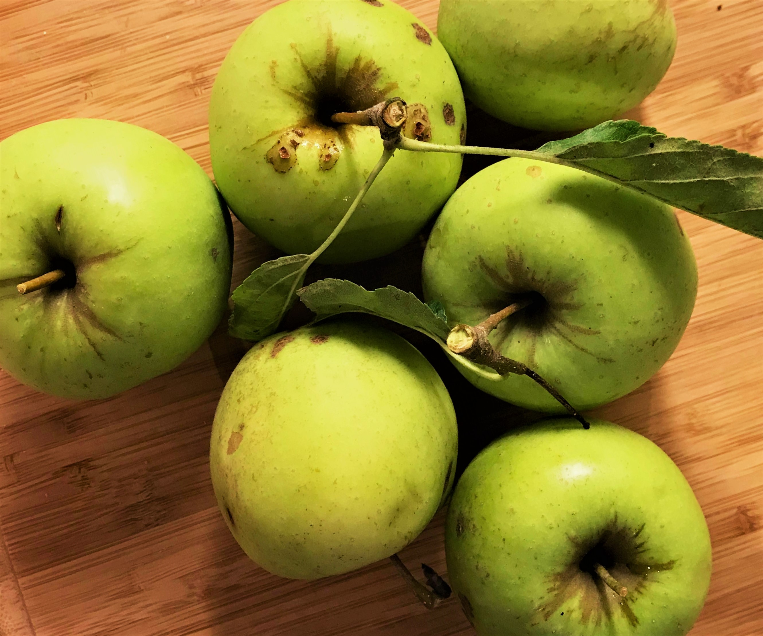 herfst, appels, eigen kweek