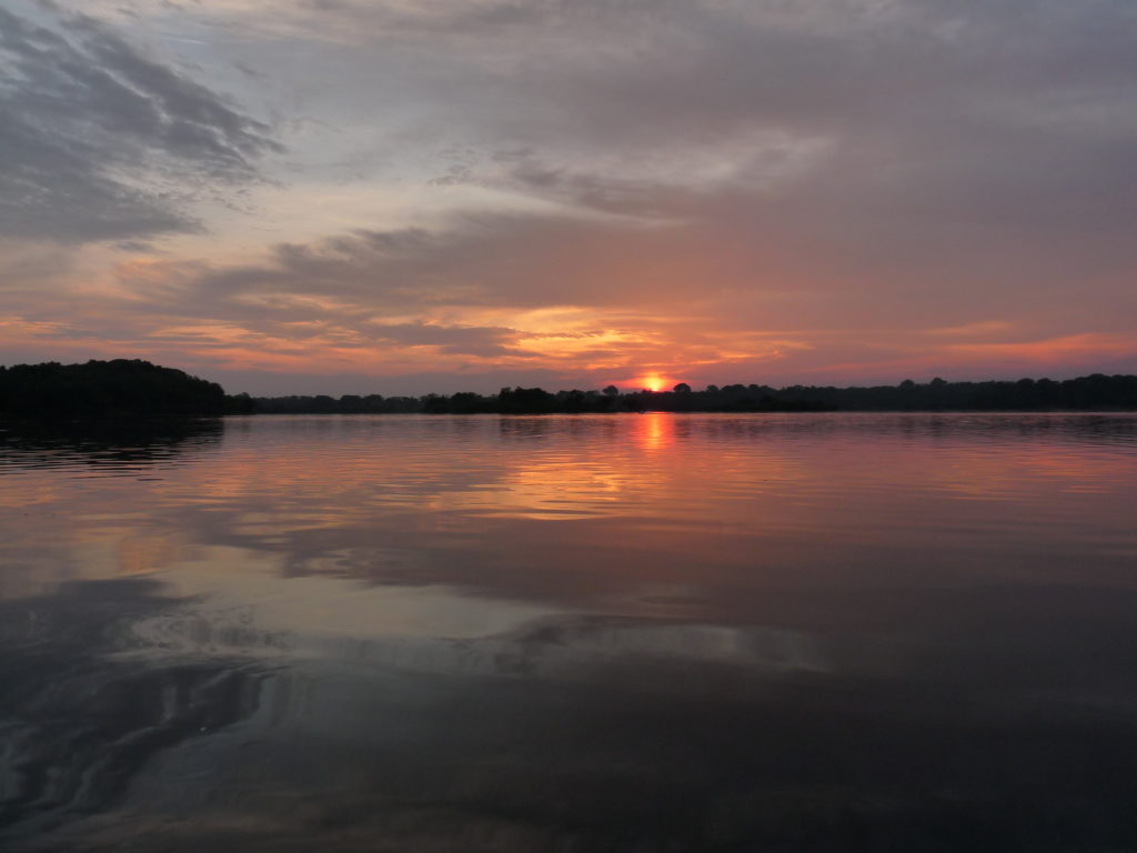 amazonas, brazilië, perfectionisme