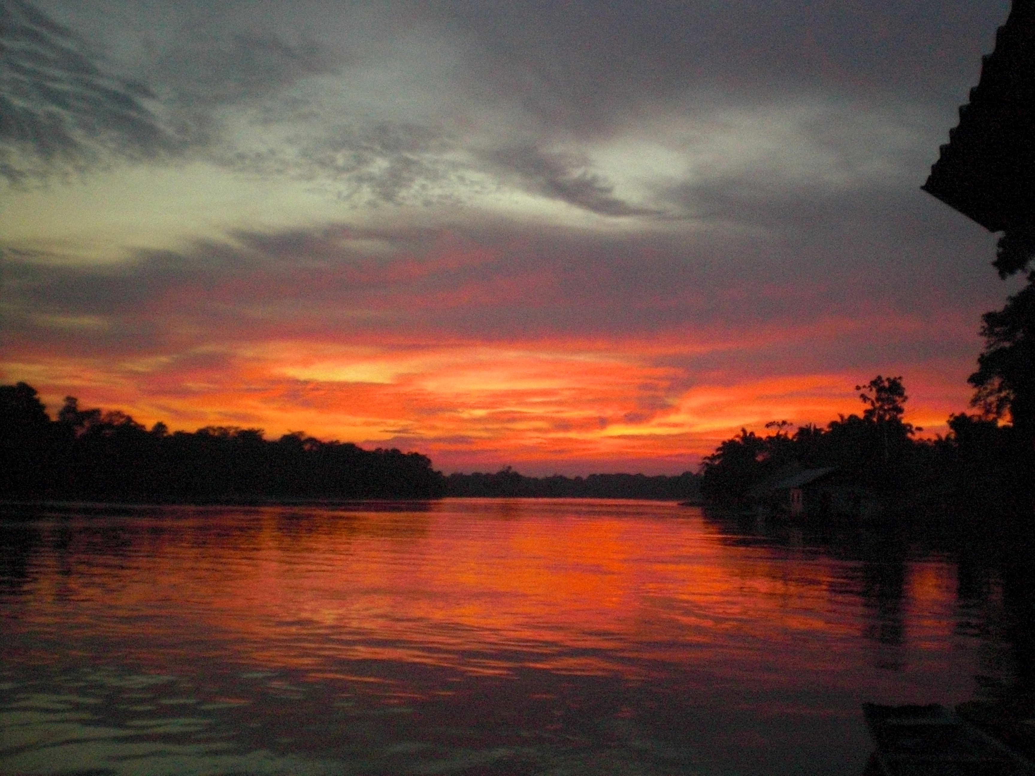 amazonas