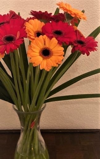 bloemen, gerbera